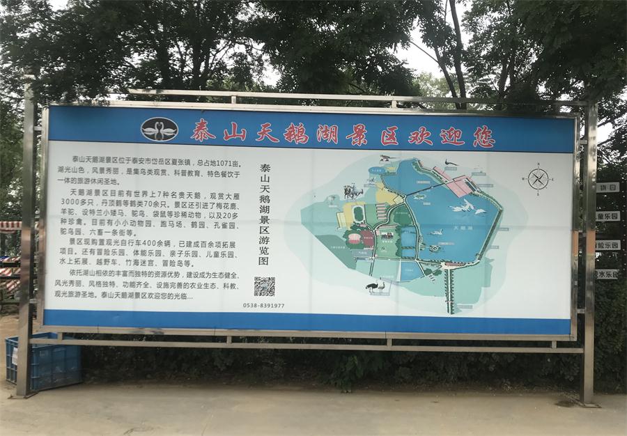 天鵝湖風(fēng)景區(qū)（泰山）速覽！(圖2)