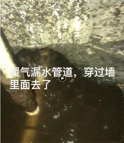 精準(zhǔn)檢測(cè)漏水、滲水：客廳、廚房、衛(wèi)生間。。。(圖4)