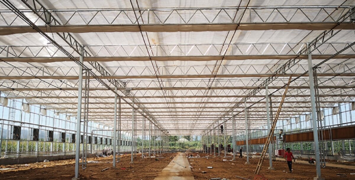 信橋鋼構(gòu)：打卡蒙陰農(nóng)業(yè)溫室大棚、青州黑牛養(yǎng)殖基地！(圖3)