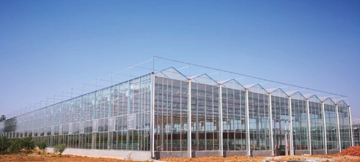 信橋鋼構(gòu)：打卡蒙陰農(nóng)業(yè)溫室大棚、青州黑牛養(yǎng)殖基地！(圖2)